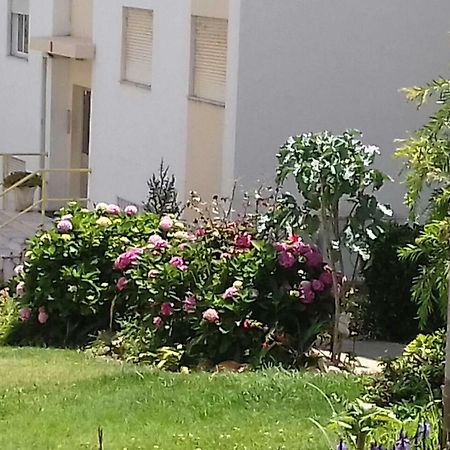 Tiagos Apartament District de District de Faro Extérieur photo
