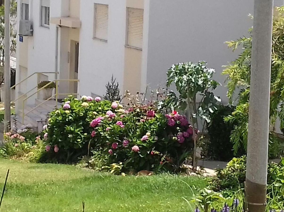 Tiagos Apartament District de District de Faro Extérieur photo